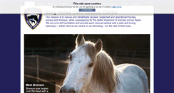 Desktop Screenshot of easyhorsecare.net